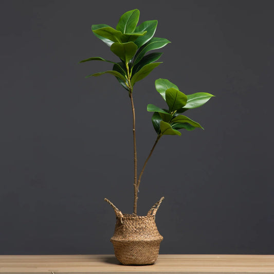Fausse Plante Extérieur Décorative avec Panier
