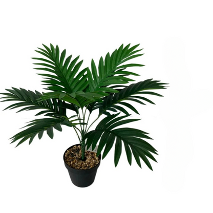 Fausse Plante Extérieur Décorative de Style Tropical sur fond blanc