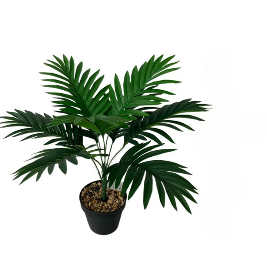 Fausse Plante Extérieur Décorative de Style Tropical sur fond blanc