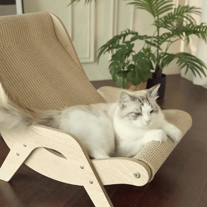 fauteuil pour chat griffoir