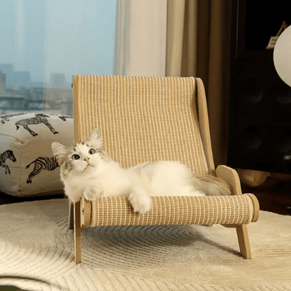 fauteuil pour chat griffoir