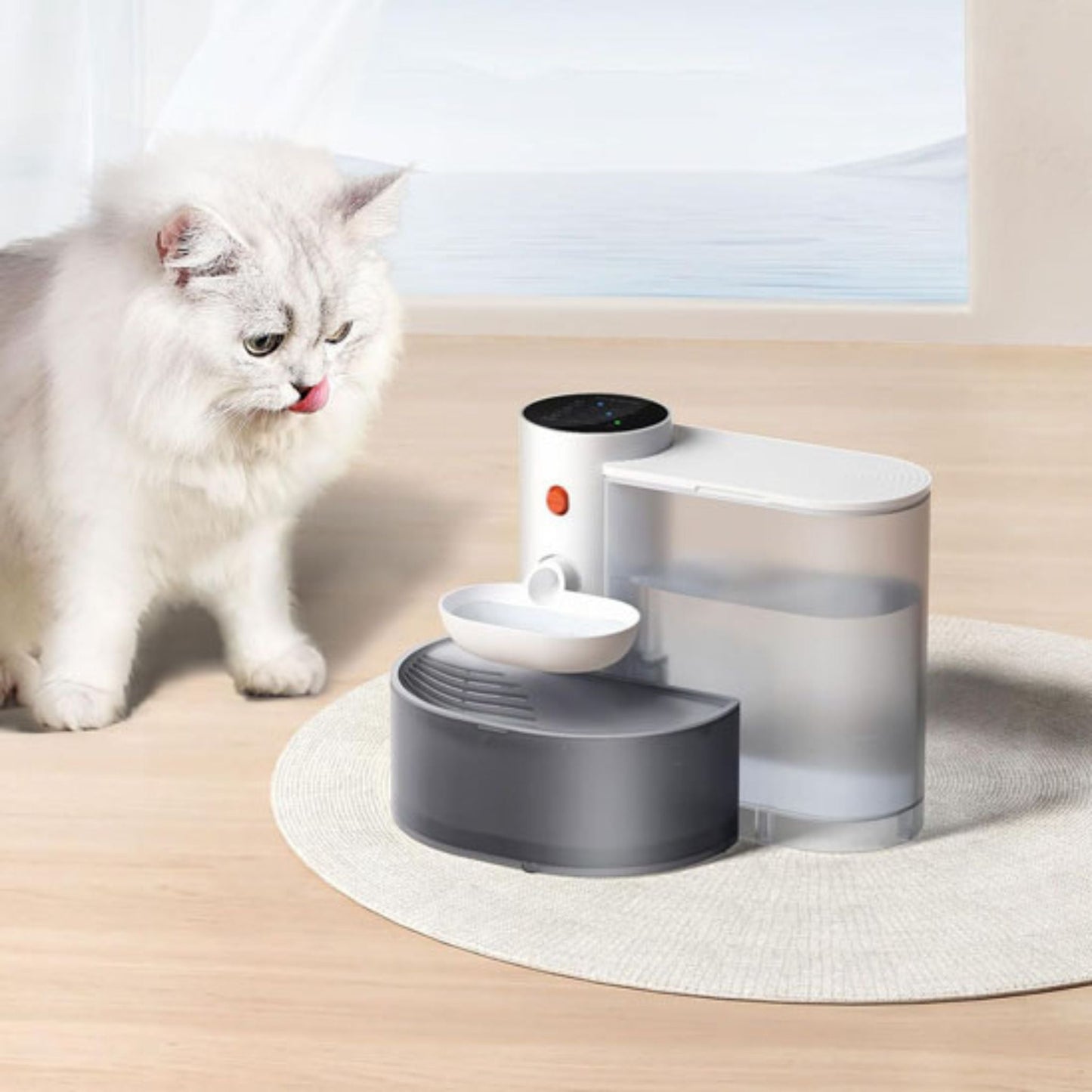 fontaine a eau chat | AquaGourmet
