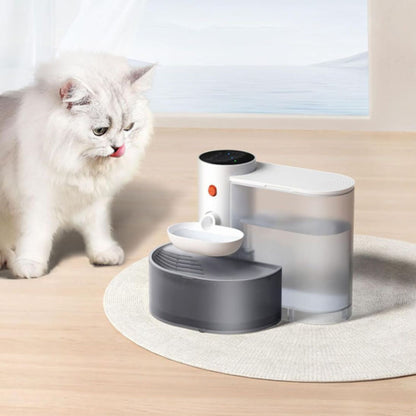 fontaine a eau chat | AquaGourmet
