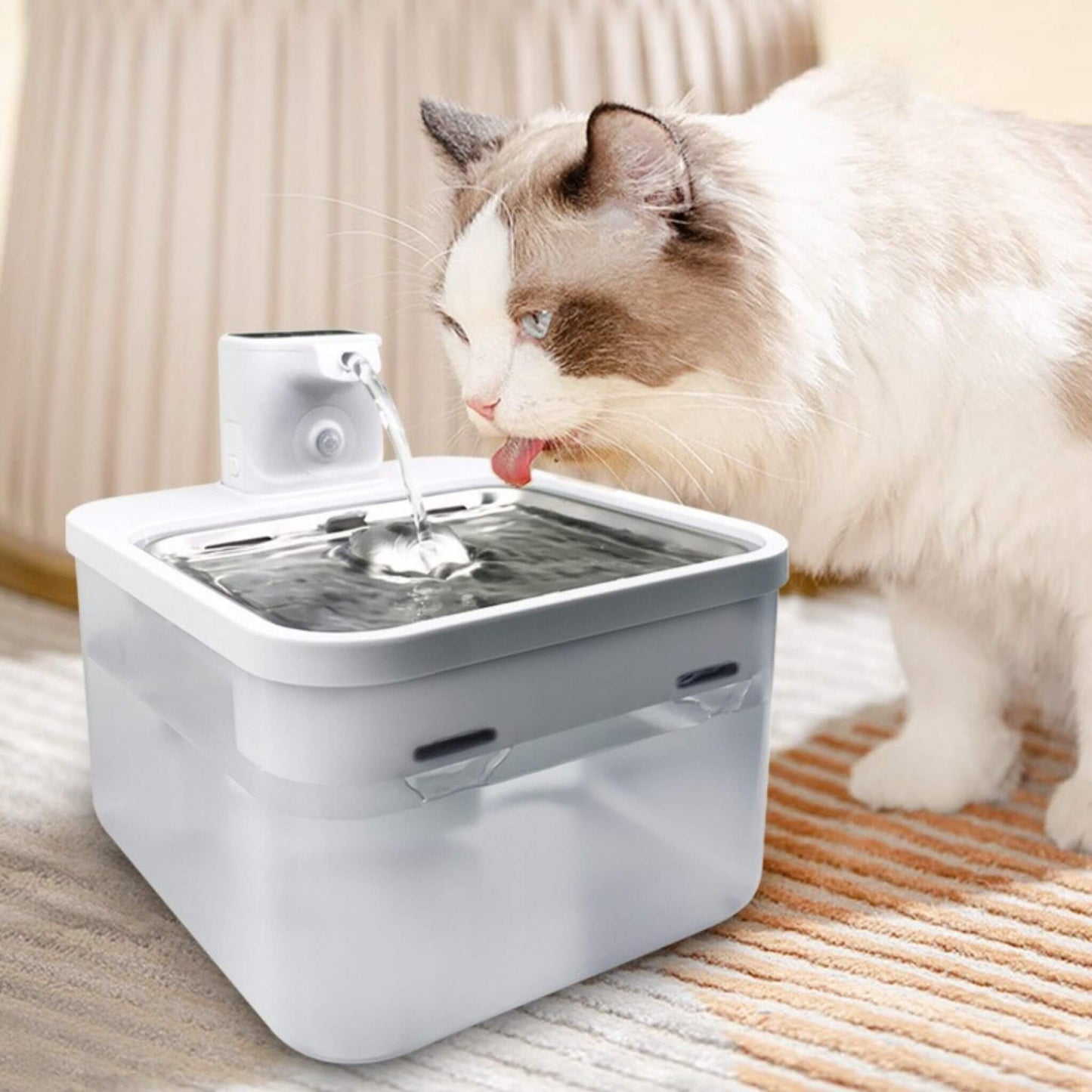 FONTAINE A EAU CHAT | AquaMobile