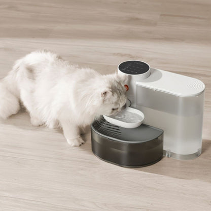 fontaine a eau chat | AquaGourmet