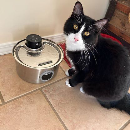 fontaine a eau chat | CORDLESS FONTAINE