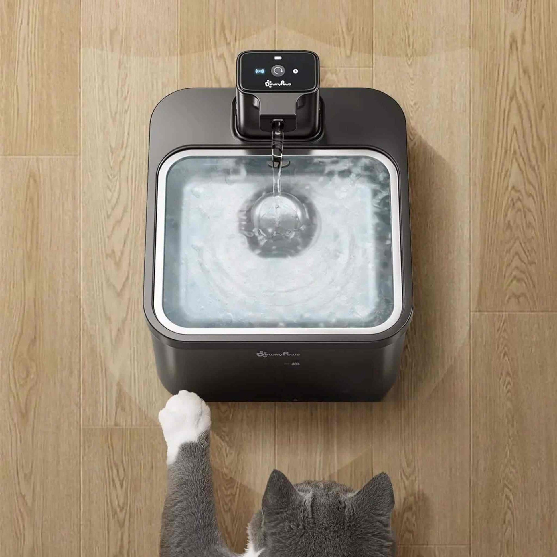 fontaine-a-eau-chat-coupelle-acier-noir