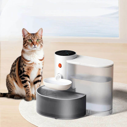 fontaine a eau chat | AquaGourmet