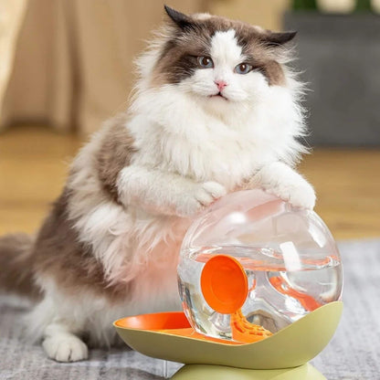 fontaine à eau chat sans électricité escargot