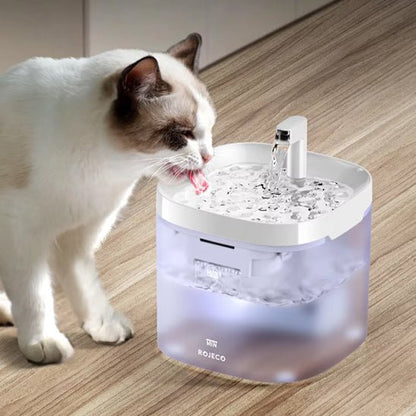 fontaine a eau chat | TRANSPARENT WATER