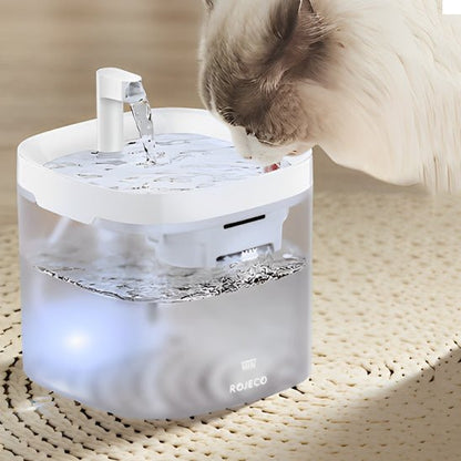 fontaine a eau chat | TRANSPARENT WATER