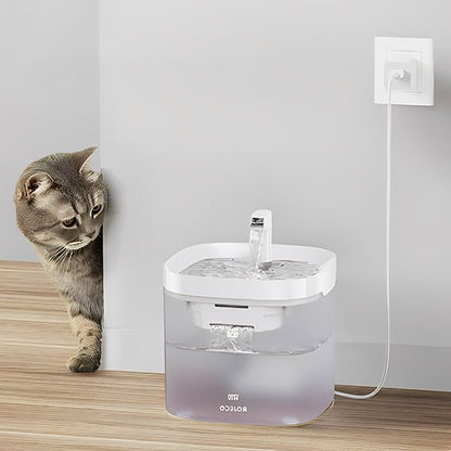 fontaine a eau chat | TRANSPARENT WATER