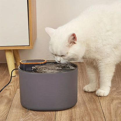 FONTAINE A EAU POUR CHAT | AquaPurr