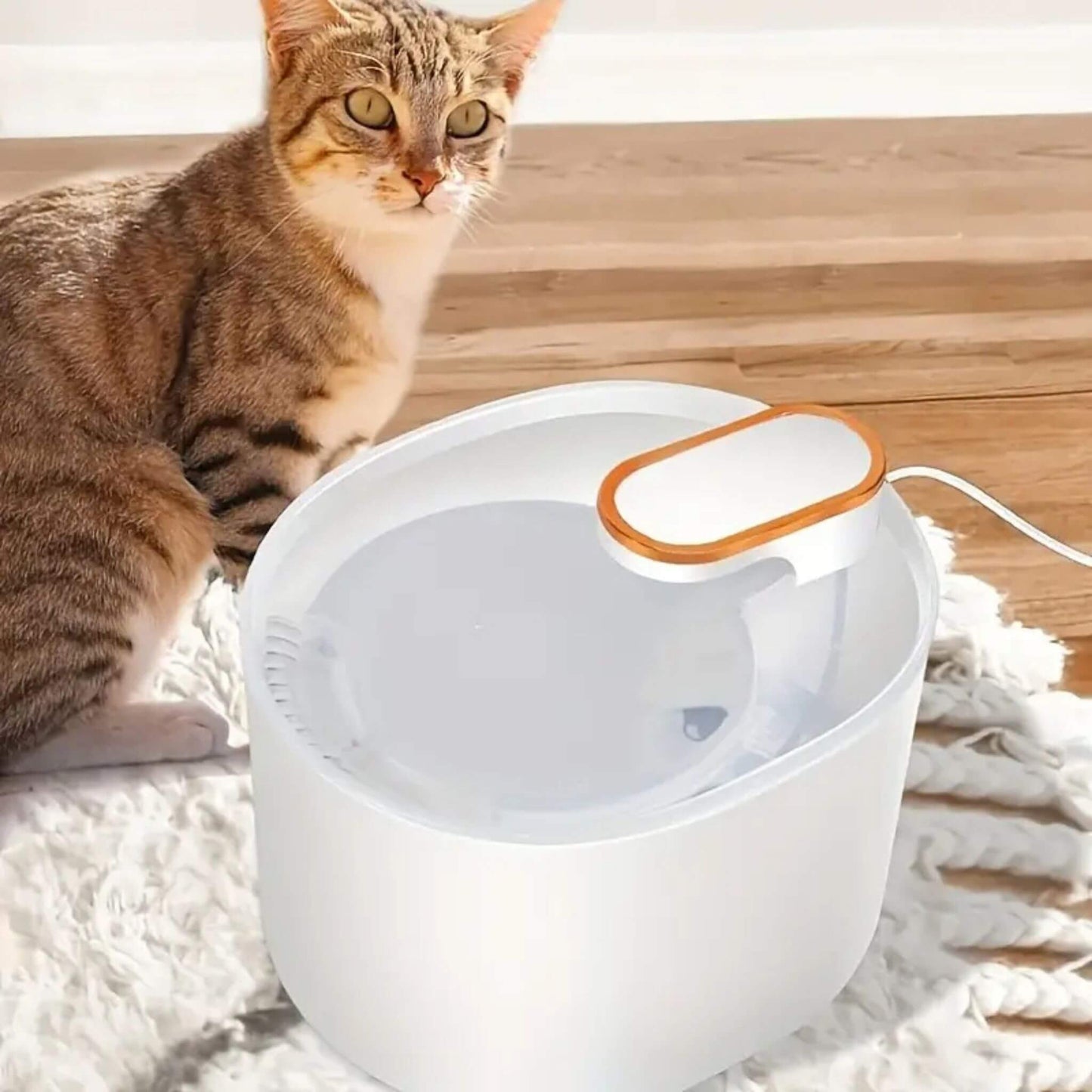 FONTAINE A EAU POUR CHAT | AquaPurr