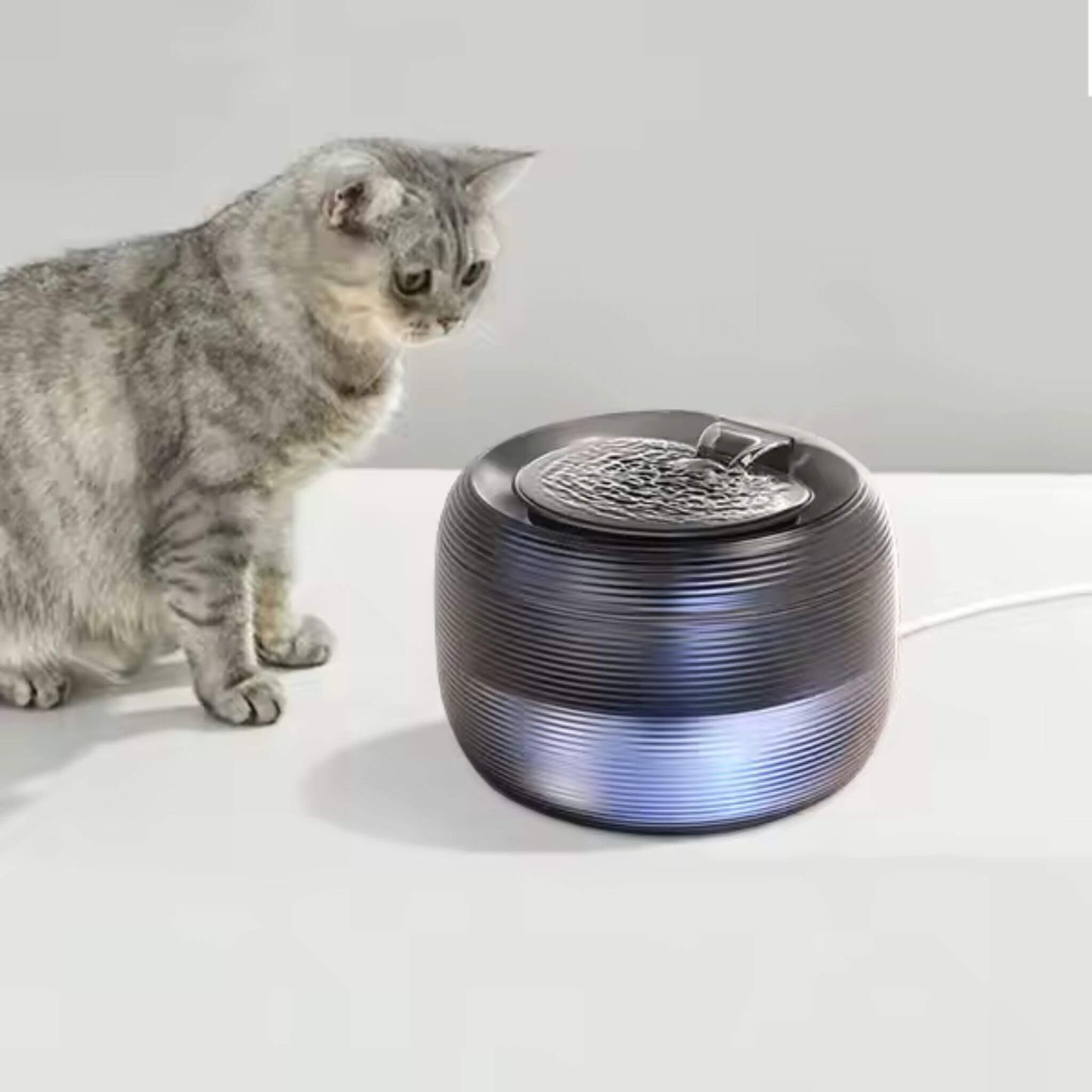 FONTAINE A EAU POUR CHAT | CatCascade