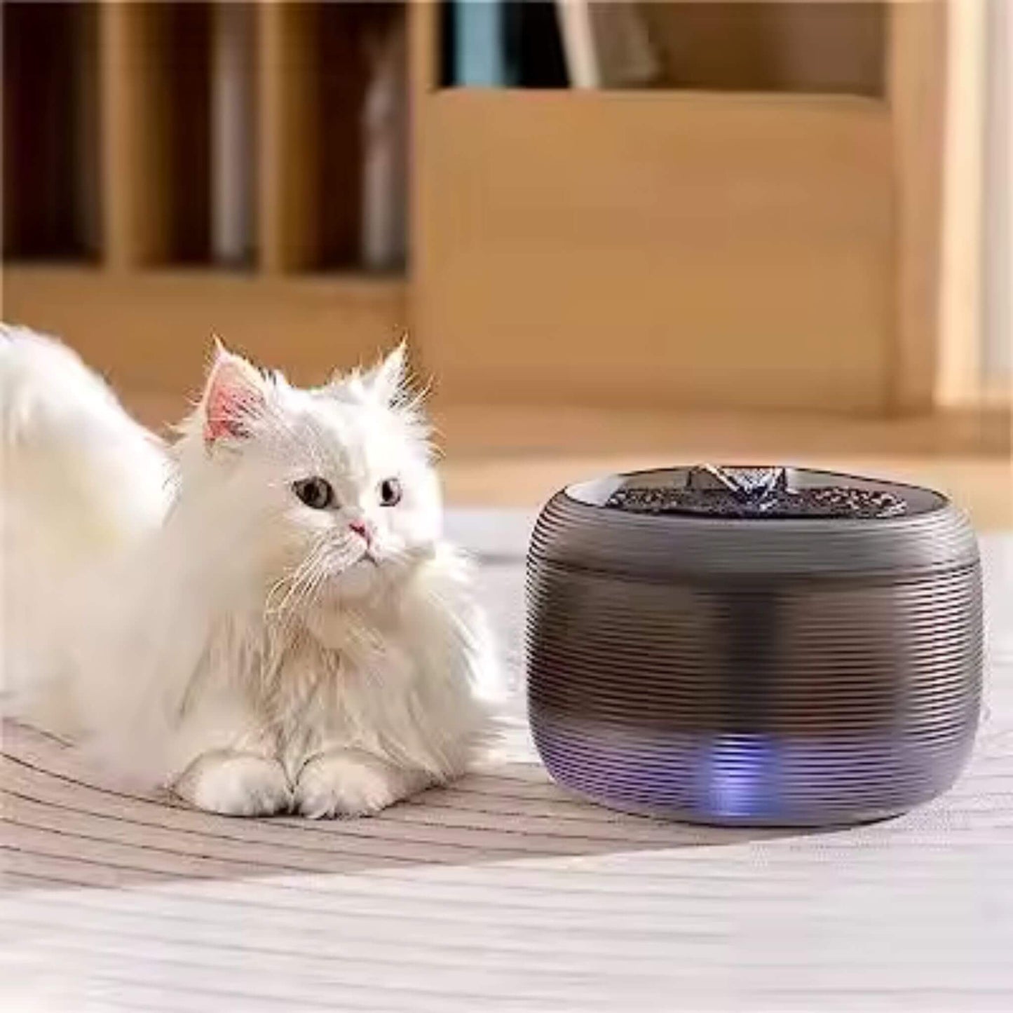 FONTAINE A EAU POUR CHAT | CatCascade