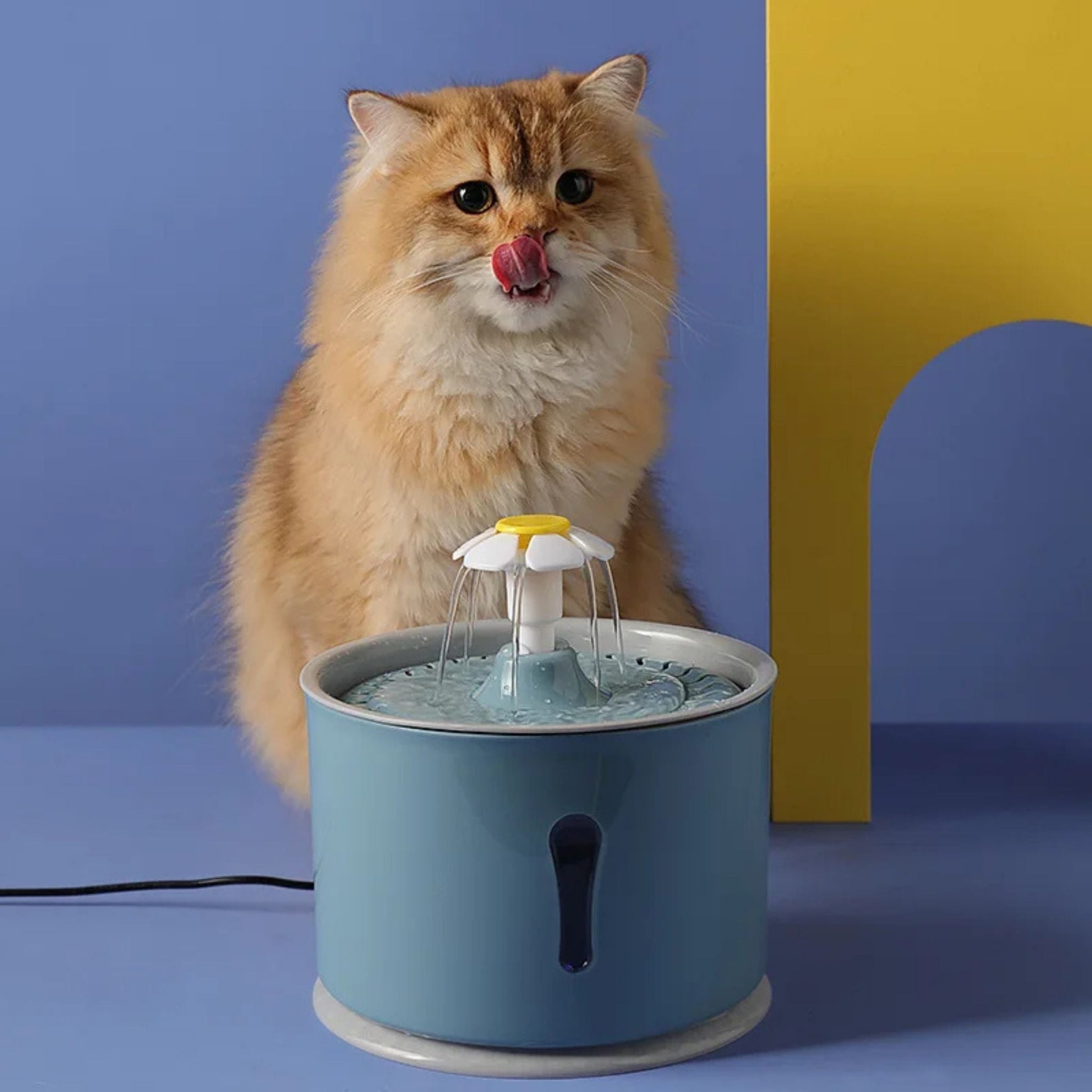 fontaine-à-eau-pour-chat-féline-bleu-gris