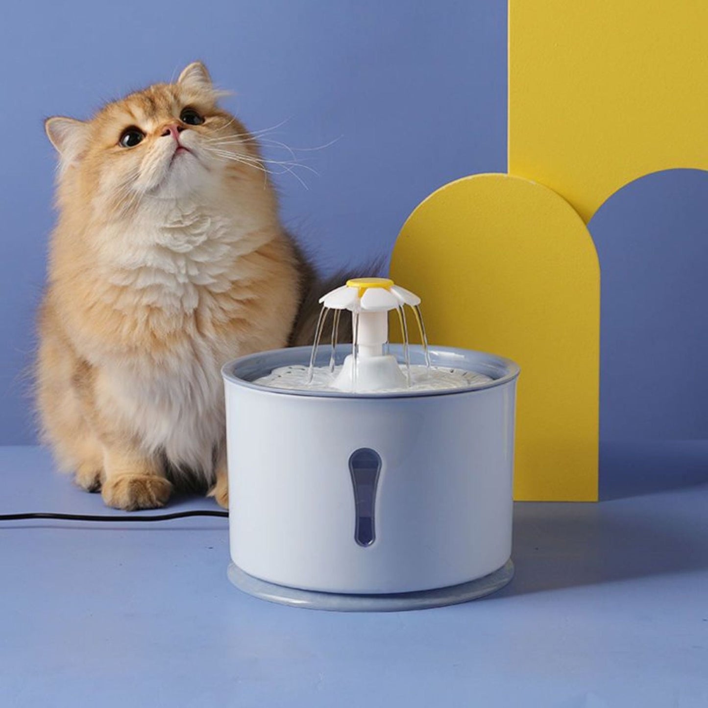 fontaine-à-eau-pour-chat-féline-bleu