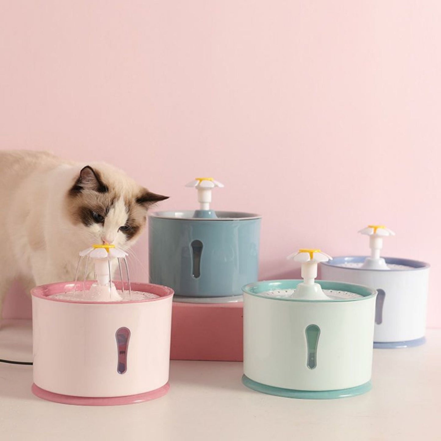 fontaine à eau pour chat | Fontaine Féline