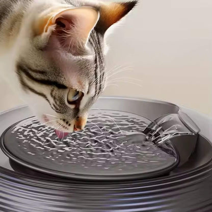 FONTAINE A EAU POUR CHAT | CatCascade