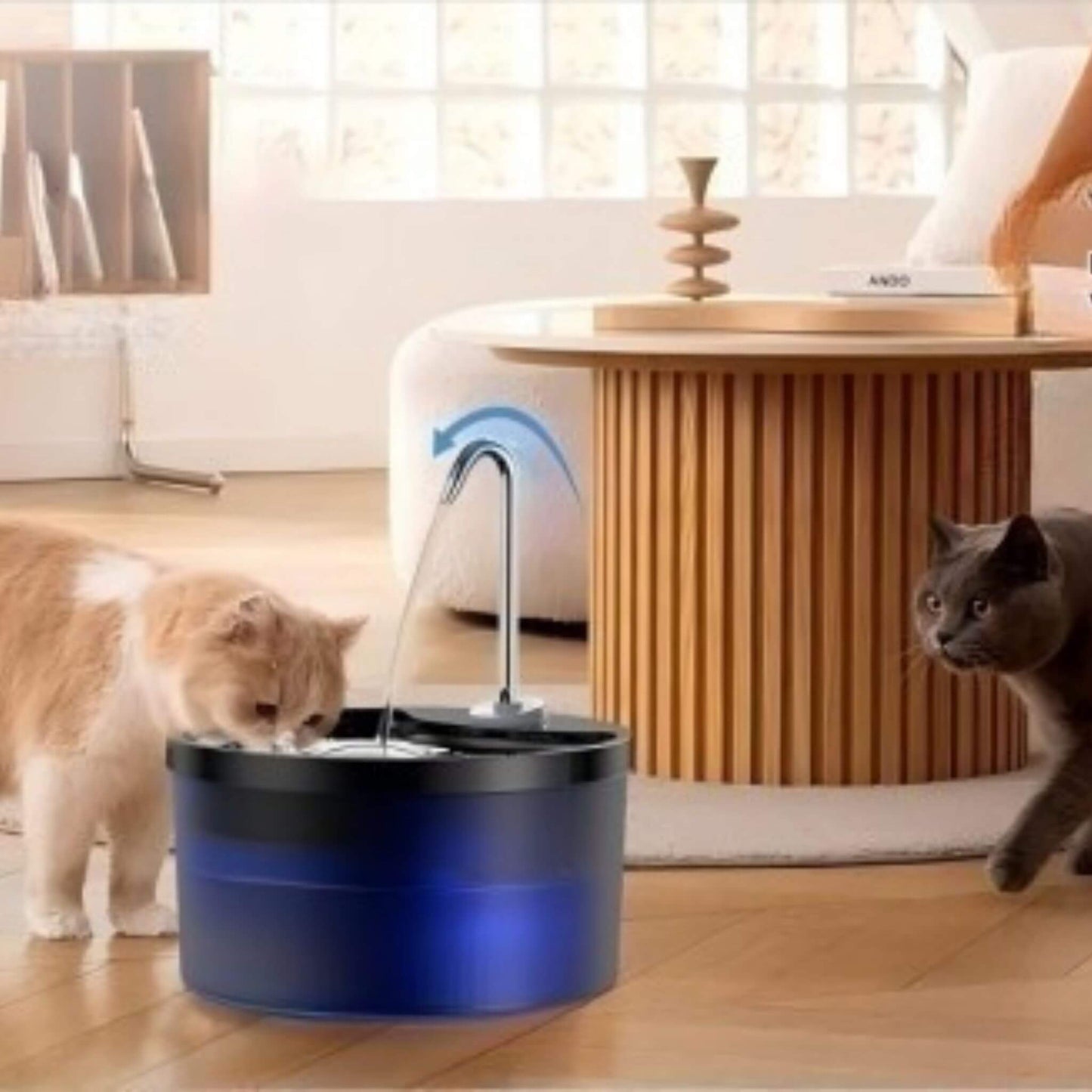 FONTAINE A EAU POUR CHAT | HydroMiaou