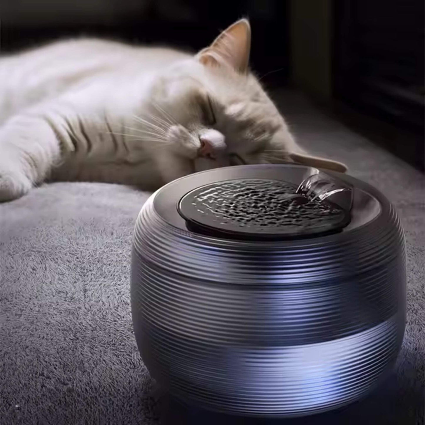FONTAINE A EAU POUR CHAT | CatCascade