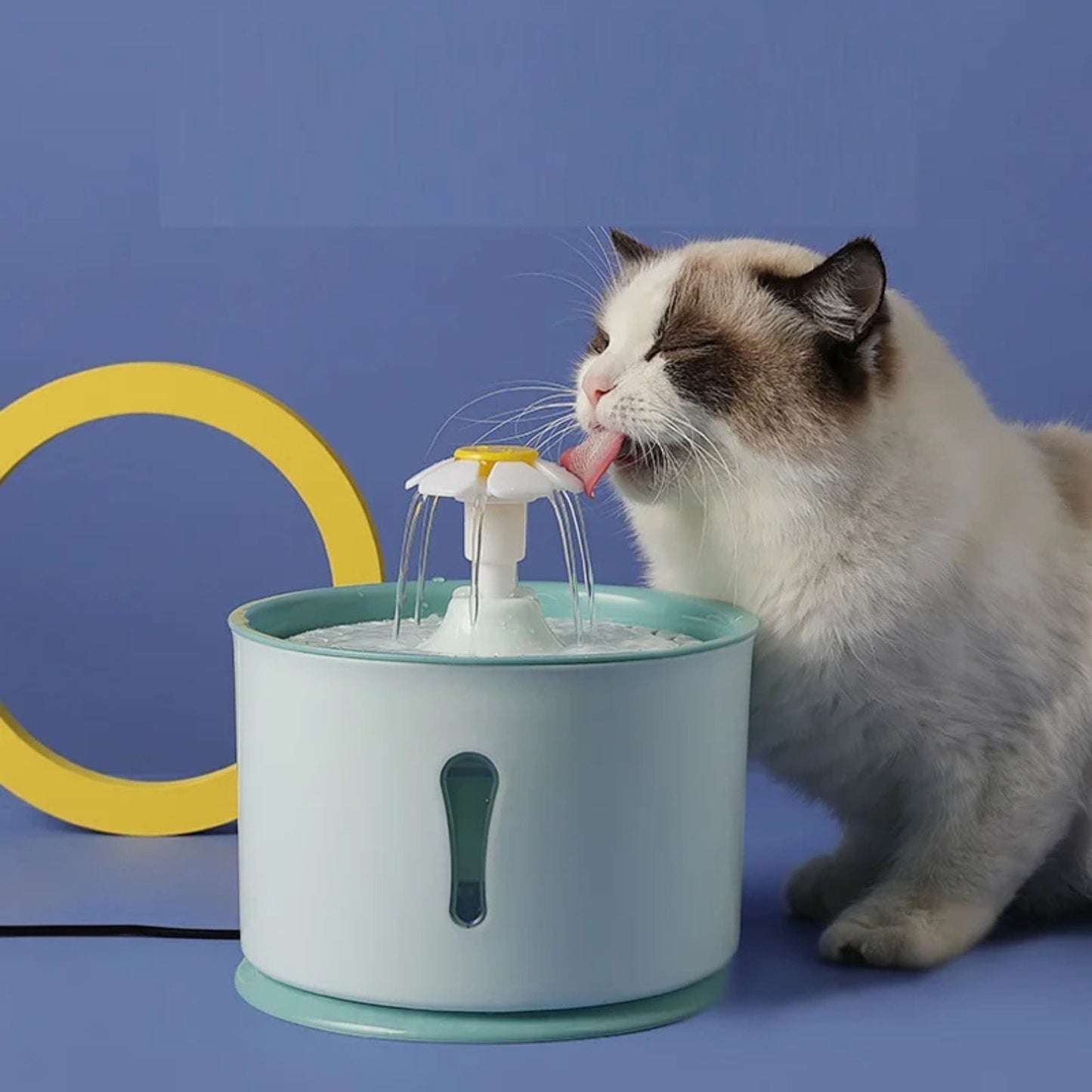 fontaine-à-eau-pour-chat-vert