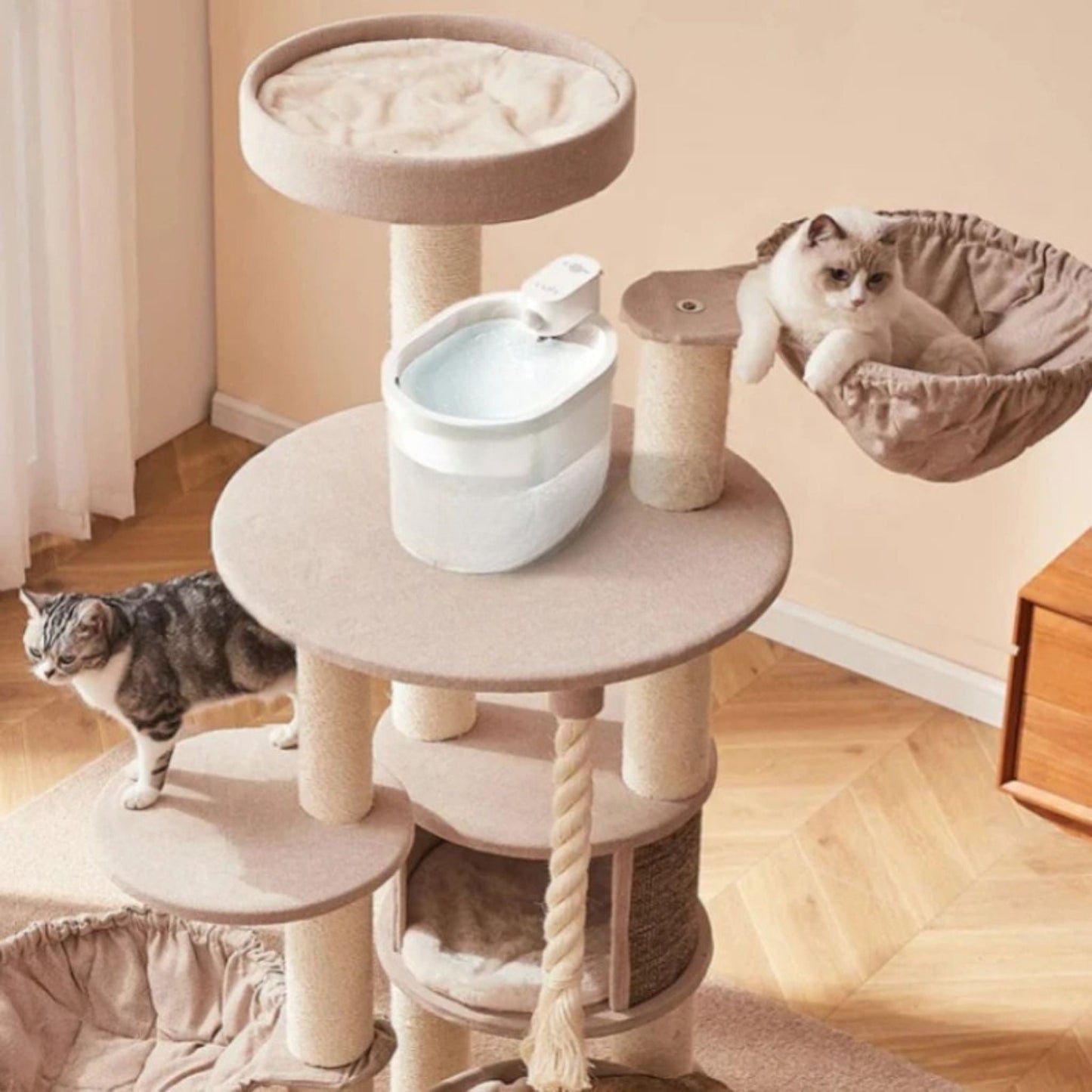 fontaine chat | AquaLibre