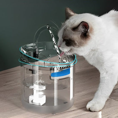 fontaine eau chat | EAUCLEAN