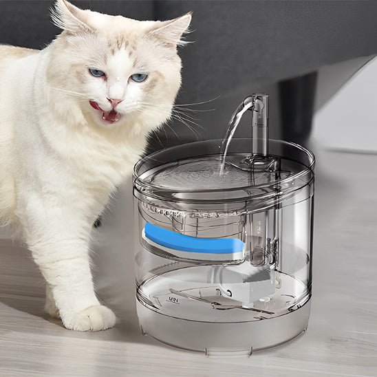 fontaine eau chat | EAUCLEAN