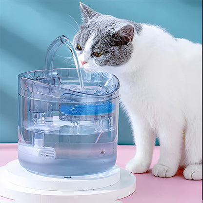 fontaine eau chat | EAUCLEAN