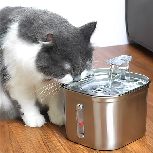 fontaine eau chat | SILVER WATER