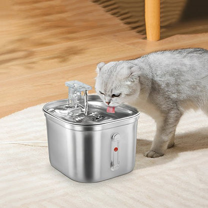 fontaine eau chat | SILVER WATER