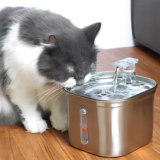 fontaine eau chat | SILVER WATER