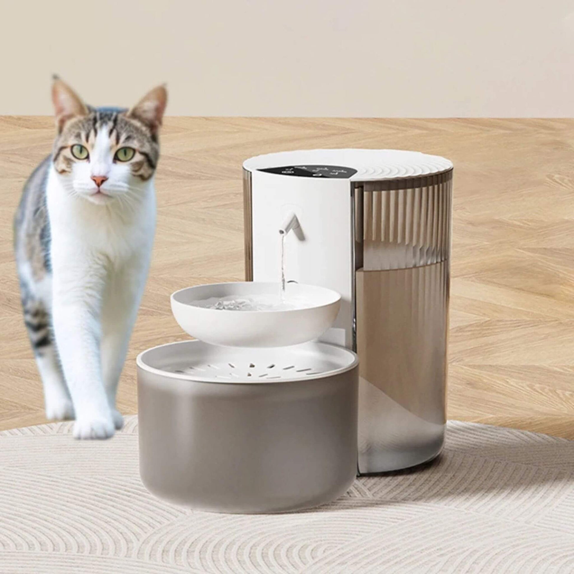fontaine-eau-pour-chat-eau-propre-mobile