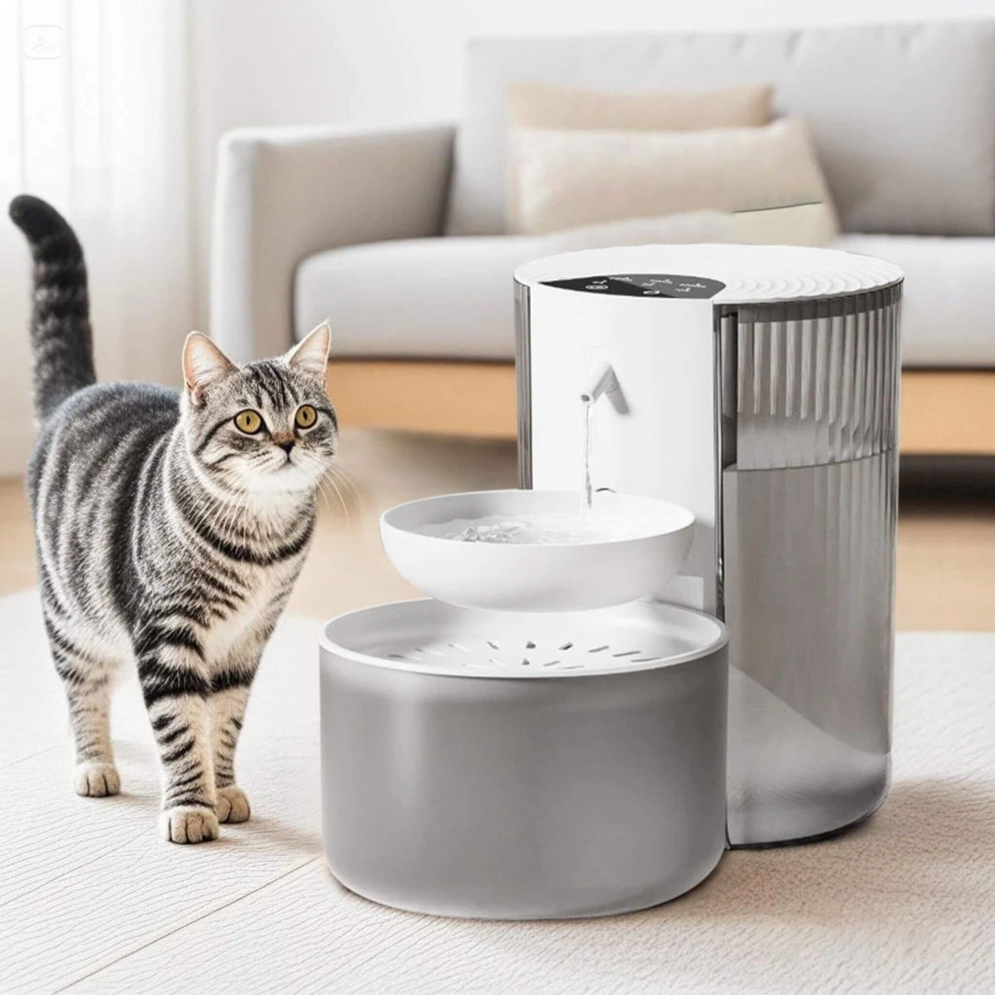 fontaine eau pour chat | MiaouMobile