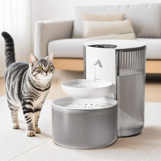 fontaine eau pour chat | MiaouMobile