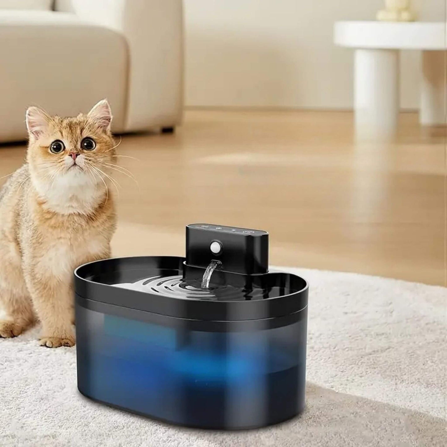 fontaine pour chat | HydroSansFil