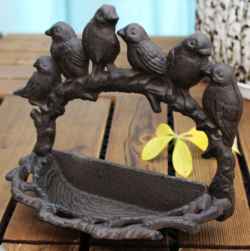 Bain oiseaux