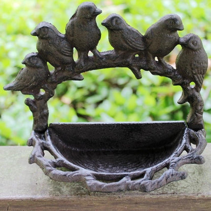 Bain oiseaux