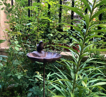 Fontaine pour oiseaux sur pied