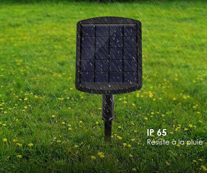 Fontaine solaire pour jardin