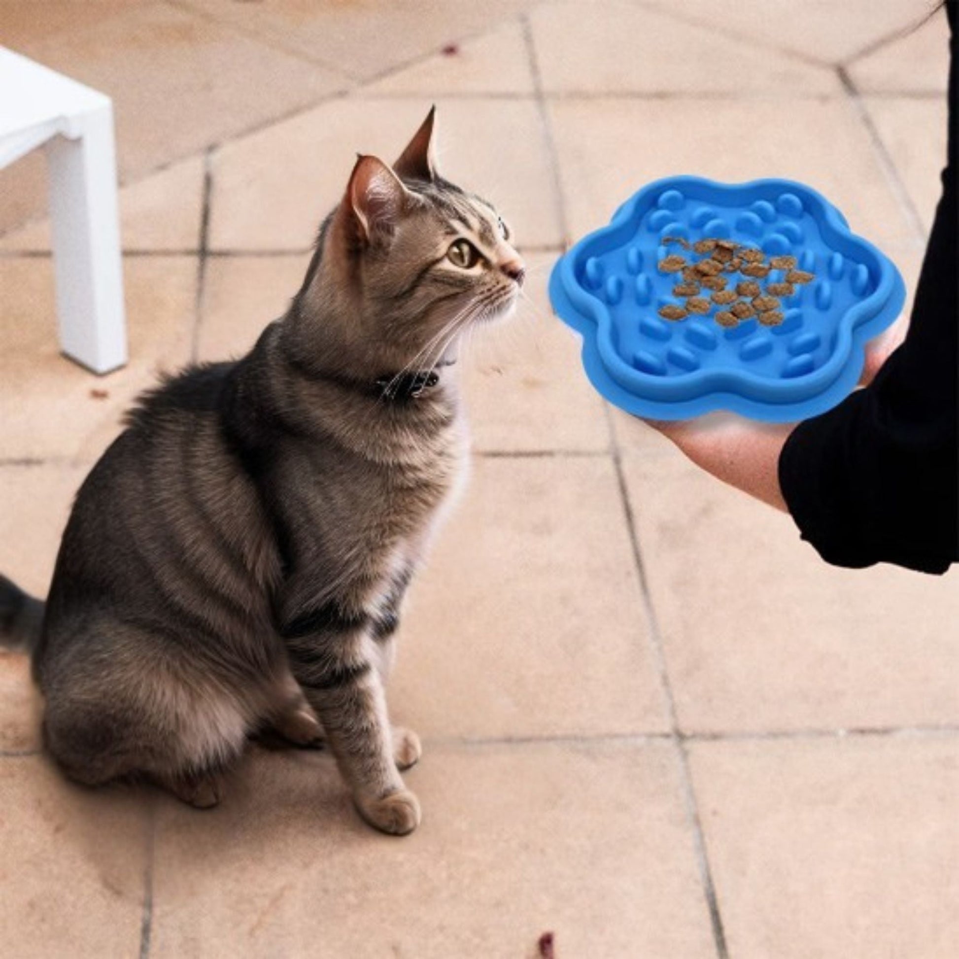 gamelle-anti-glouton-chat-bleu-ralentisseur