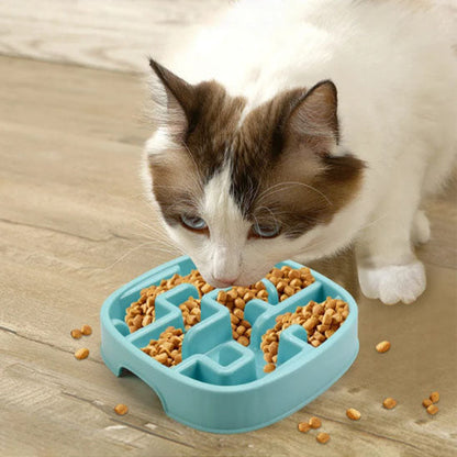 gamelle anti glouton chat | Dégustation Délicate
