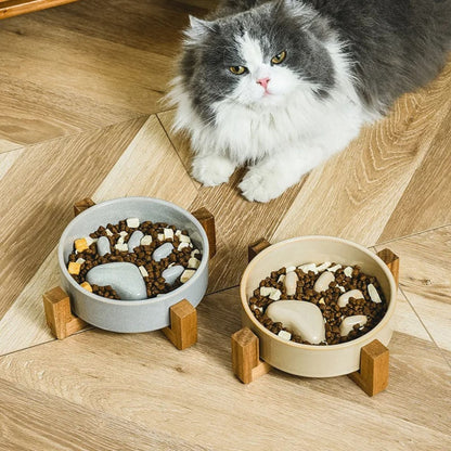 gamelle anti-glouton chat | Patte Gourmande