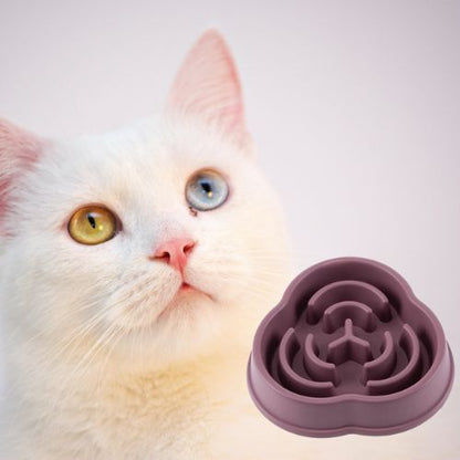 gamelle anti glouton chat |SLOWBOWL