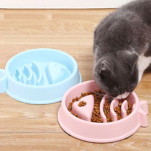 gamelle anti glouton| REPAS LENT
