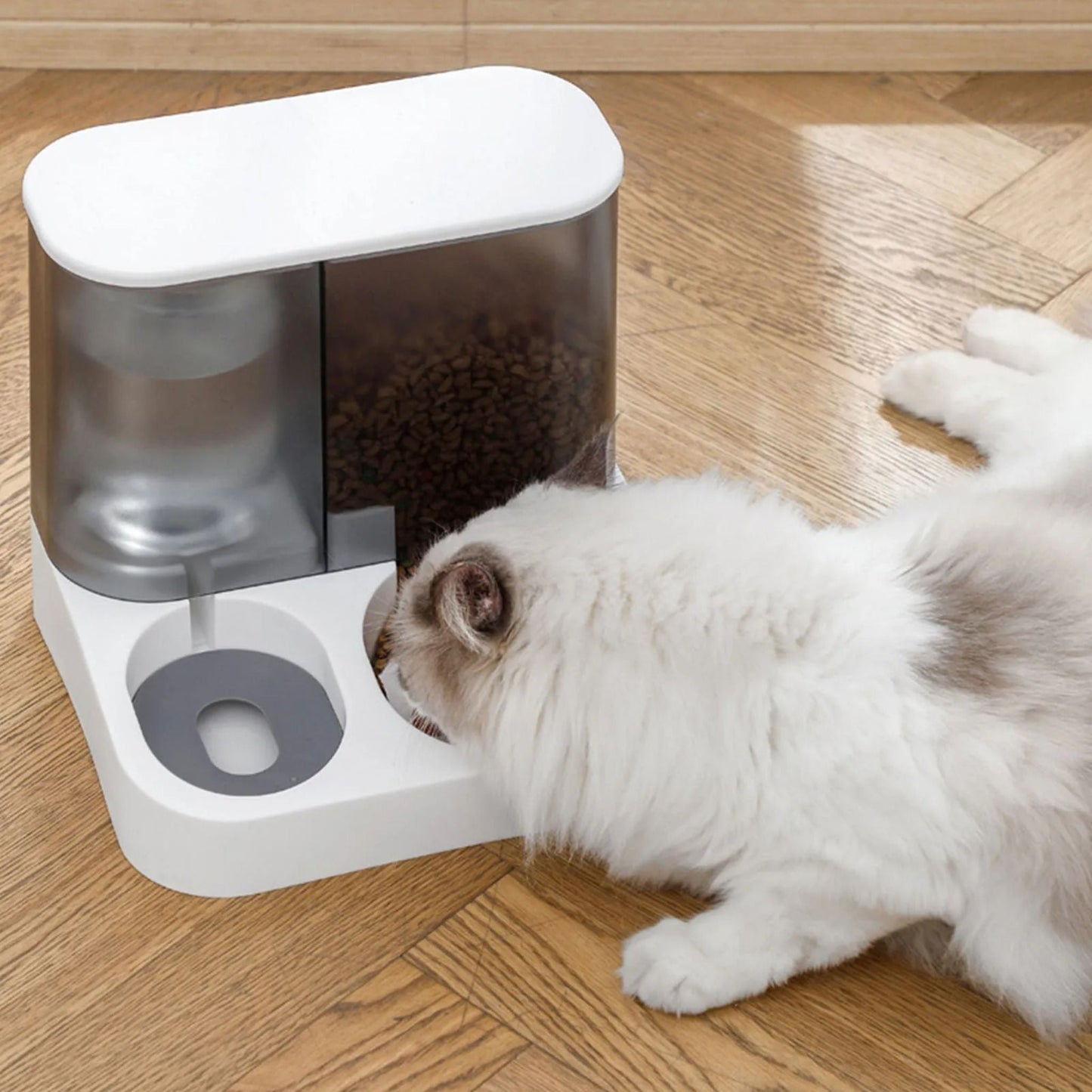 gamelle automatique chat |AUTOMATIC DISTRI