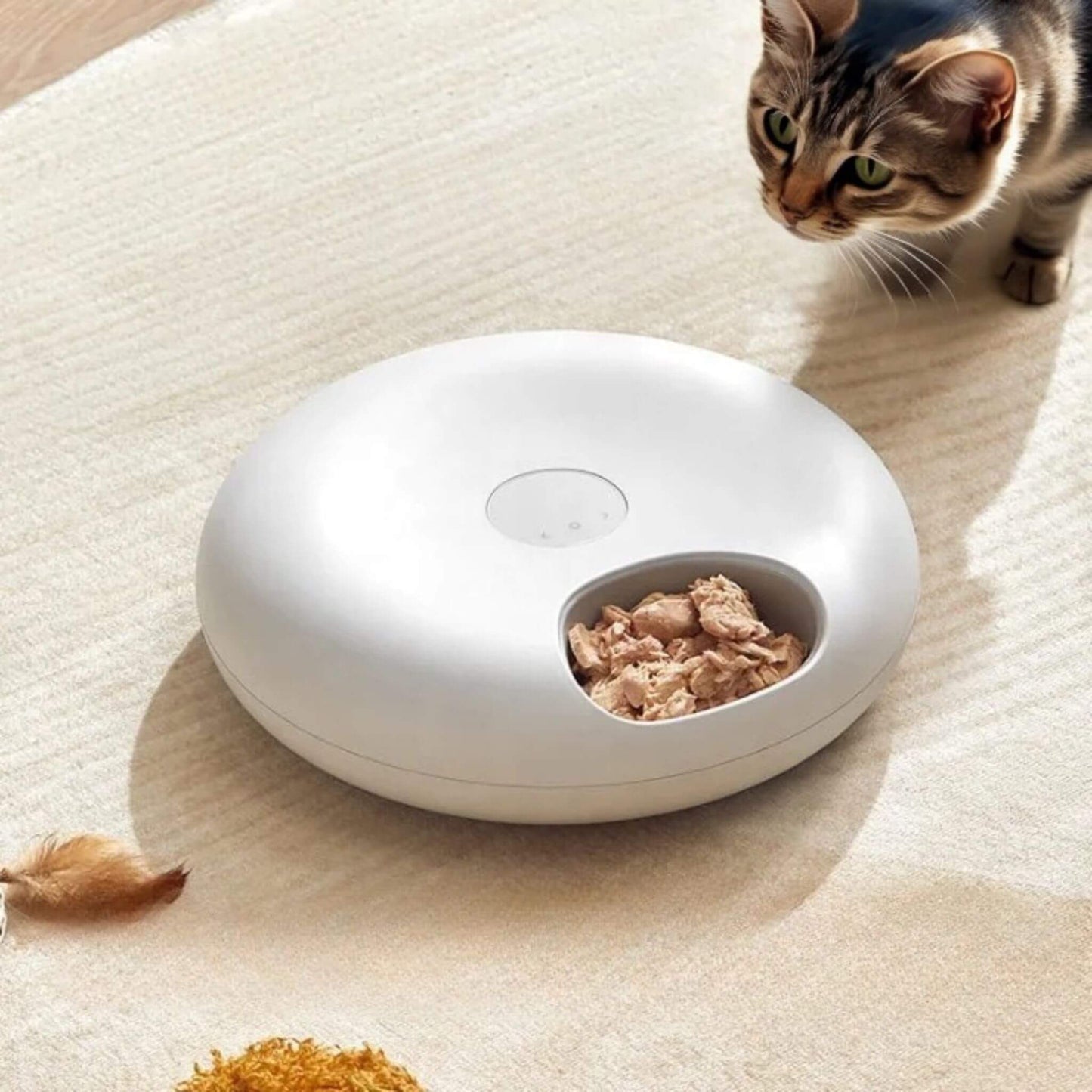 gamelle automatique chat Gourmet Frigo