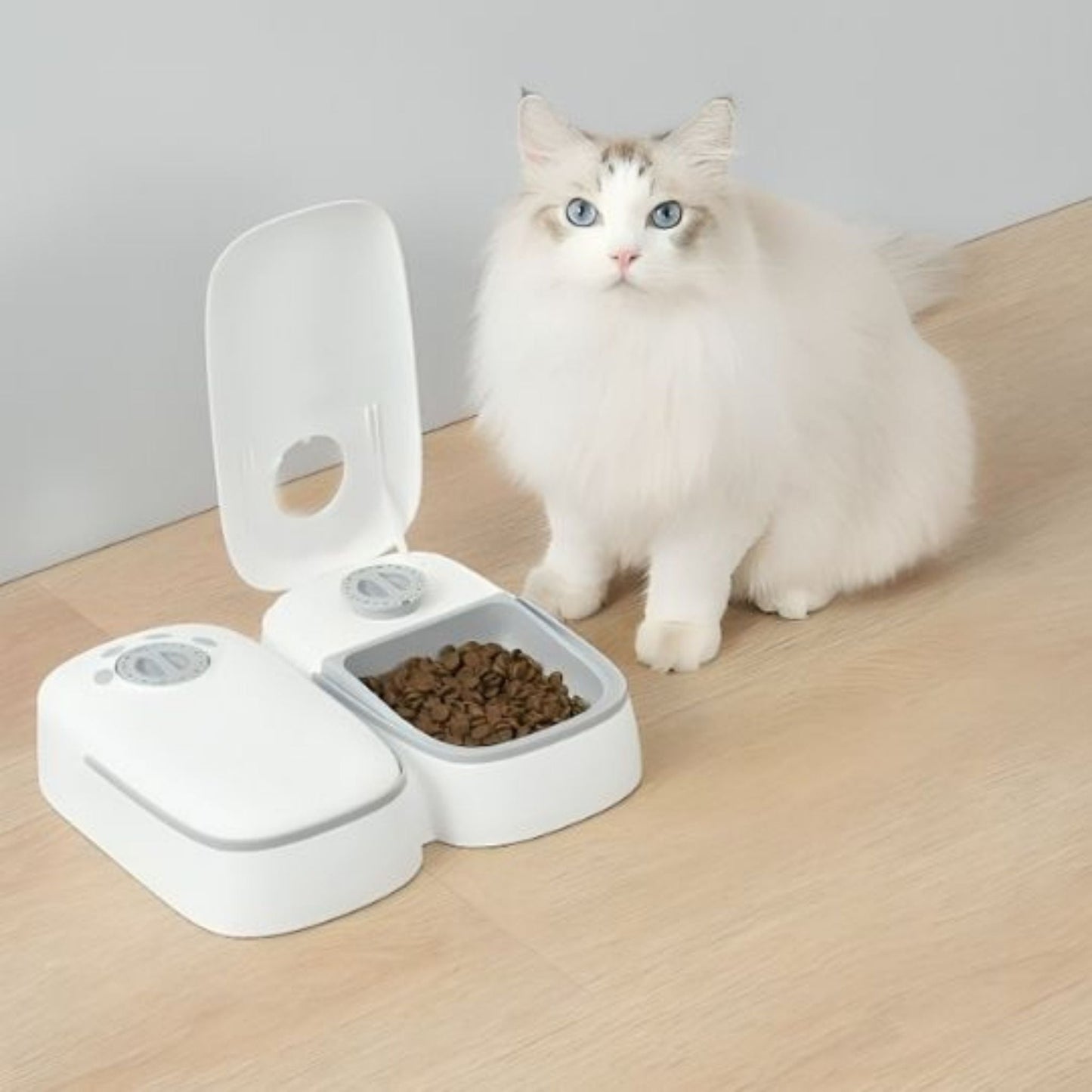 gamelle-chat-automatique-double-gris